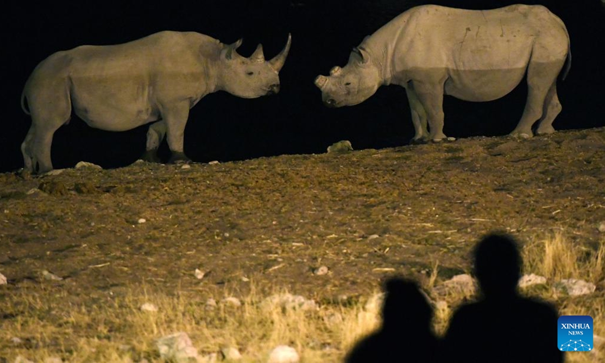 Photo taken on Aug. 14, 2022 shows rhinos at the Etosha National Park in Namibia. (Xinhua/Chen Cheng)