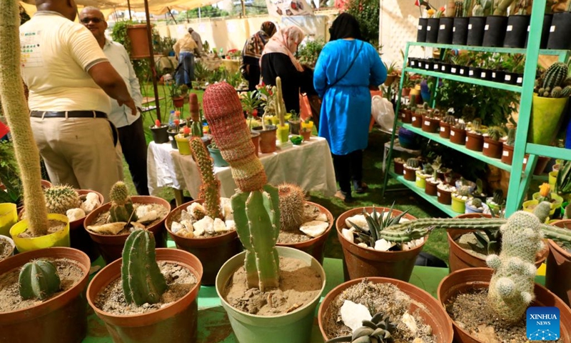 People attend a cactus and succulent exhibition in Khartoum, Sudan, on Oct. 5, 2022.(Photo: Xinhua)