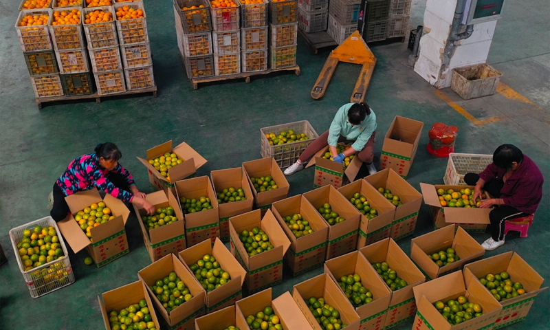 Workers pack tangerines for export in Yichang, Central China's Hubei Province, on October 9, 2022. Since September 30, some 600 tons of tangerines have been exported. Many of these tangerines are being sent to Russia. Yichang's tangerine output is 3.69 million tons per year. Photo: VCG
