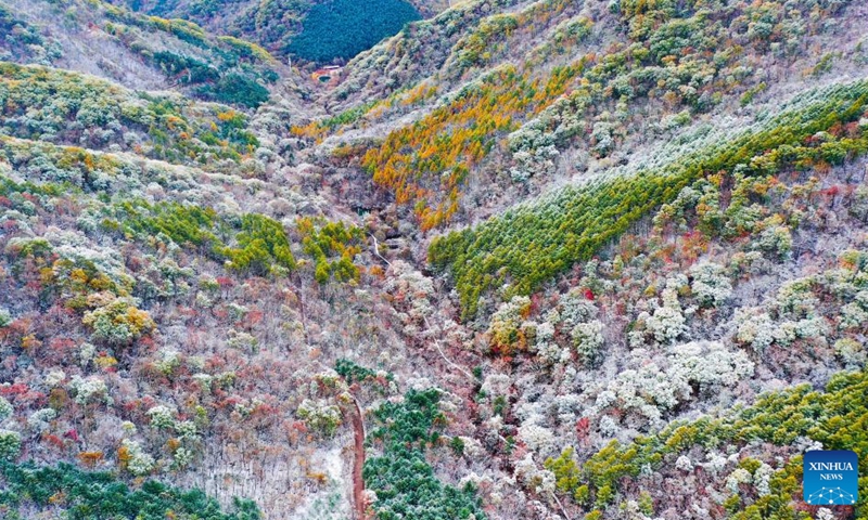 Aerial photo taken on Oct. 10, 2022 shows a view of Tianqiaogou forest park after snow in Dandong, northeast China's Liaoning Province.(Photo: Xinhua)