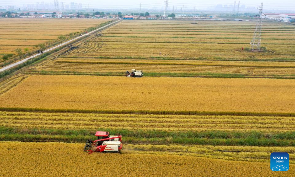 Aerial photo taken on Oct 13, 2022 shows a harvester working at a paddy field in Xiaozhan Town of Jinnan District in north China's Tianjin. Xiaozhan rice, which is a popular rice variety in China, is originated in Xiaozhan Town of Tianjin. Lately Xiaozhan rice has entered its harvest season. Photo:Xinhua