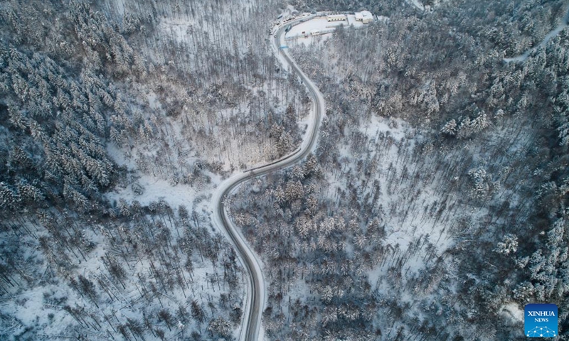 Aerial photo taken on Feb. 7, 2022 shows the scenery of Pinghe ridge of Qinling Mountains in Ningshan County, northwest China's Shaanxi Province. In recent years, Ningshan County has made great efforts in ecological protection and green development, with local forest coverage rate reaching 96.24 percent and the population of crested ibises, giant pandas and golden snub-nosed monkeys growing.(Photo: Xinhua)