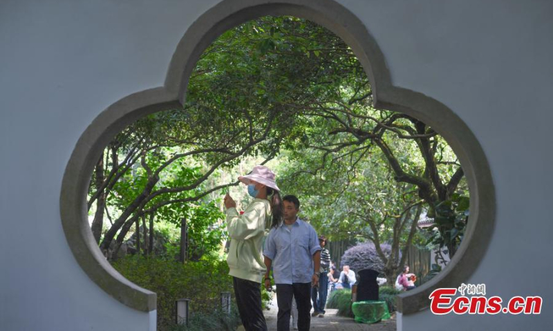 Sweet Osmanthus flowers are in full bloom at Sweet Osmanthus Rain, one of the