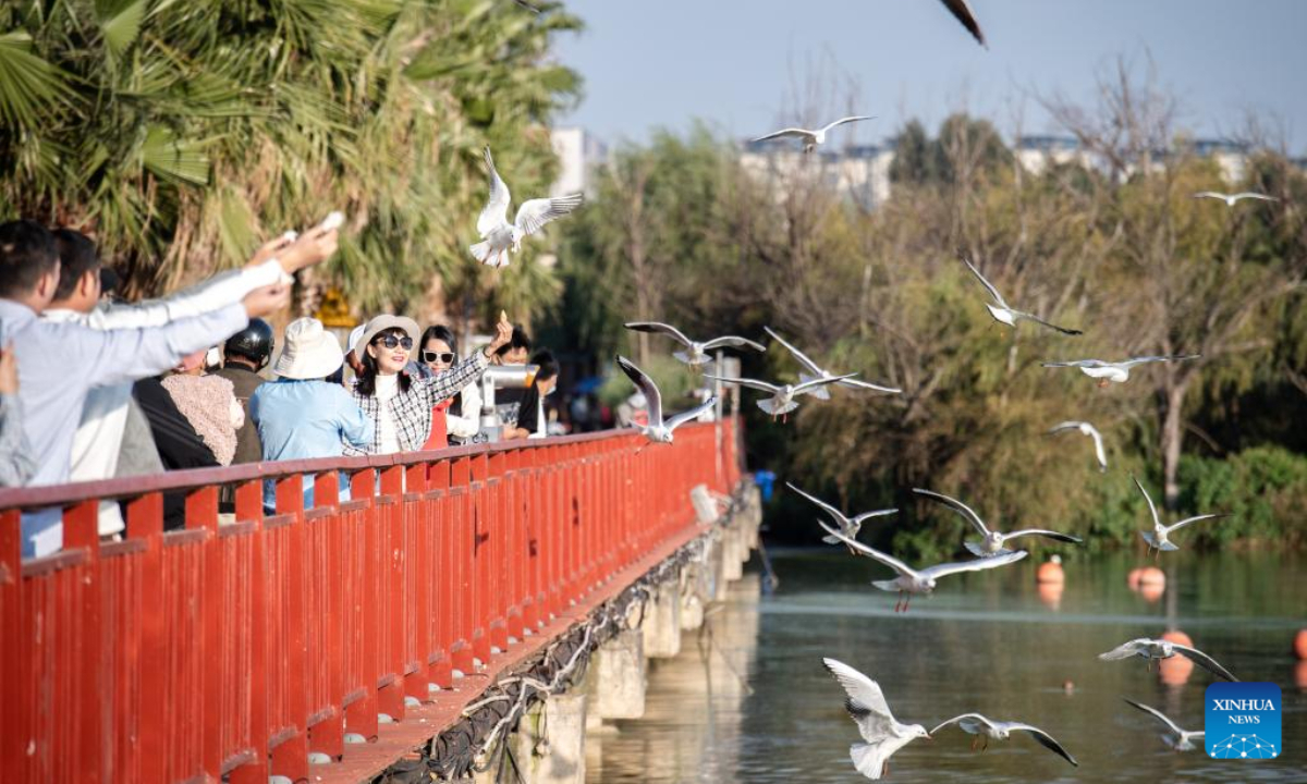 Citizens feed black-headed gulls by the bank of Dianchi Lake in Kunming, southwest China's Yunnan Province, Oct 20, 2022. Every year black-headed gulls fly to Kunming for warmer weather in winter. Photo:Xinhua