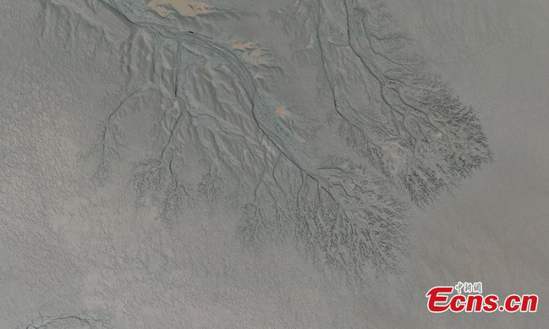 Aerial view shows the giant tree-shaped marks on the tidal flat along the Qiangtang River, east China's Zhejiang Province, Oct. 17, 2022. (Photo: China News Service/Wang Gang)
