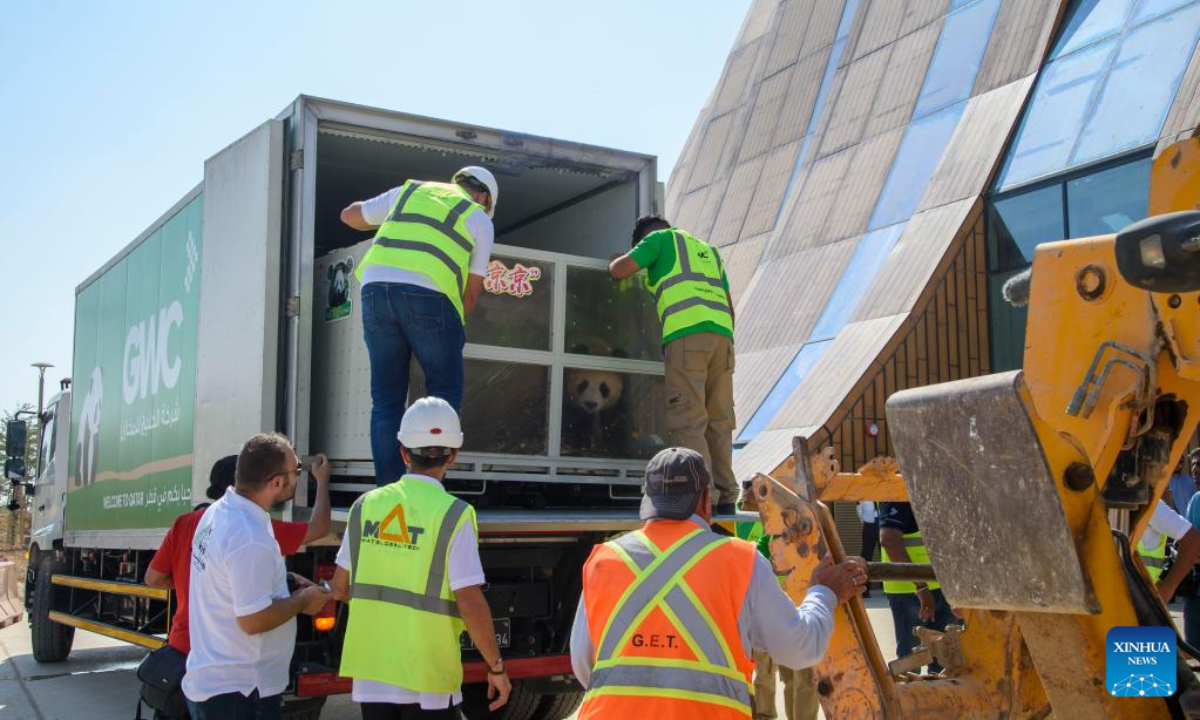 Staff members transfer the giant panda Jing Jing at the Panda House at Al Khor Park in Doha, Qatar, Oct 19, 2022. Photo:Xinhua