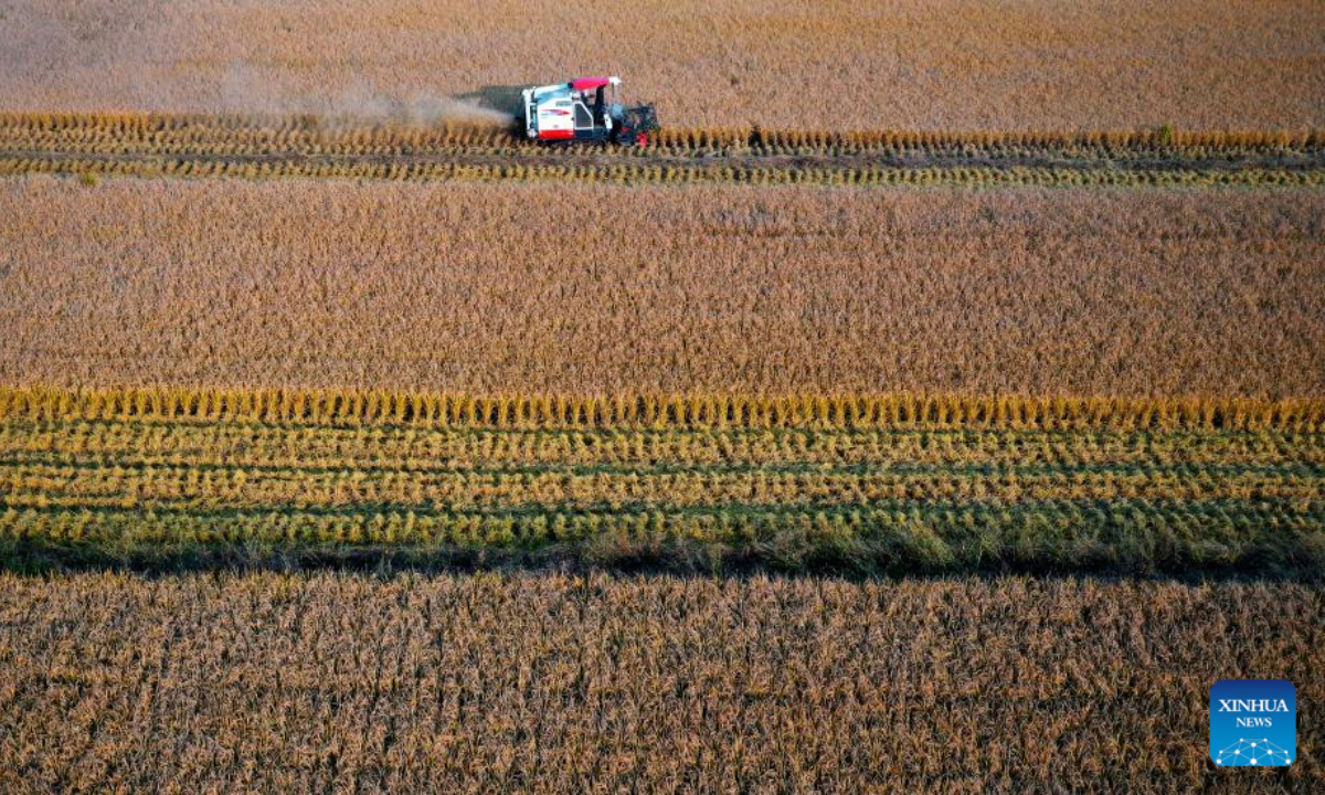 This aerial photo taken on Oct 21, 2022 shows a reaper harvesting paddy rice in Huangfu Village, Chang'an District of Xi'an City, northwest China's Shaanxi Province. In recent years, Chang'an District develops ecological paddy fields and combines paddy rice industry with tourism, which improves the quality of local paddy rice and local economy. Photo:Xinhua