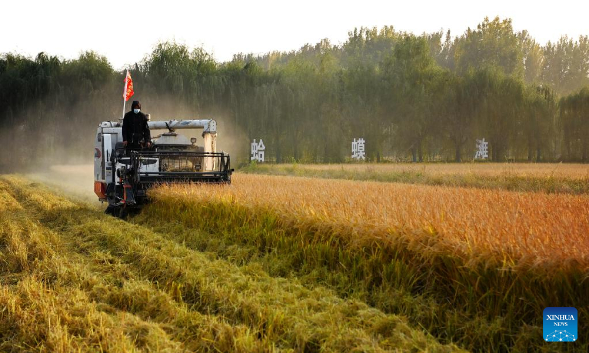 A villager riding a reaper harvests paddy rice in Huangfu Village, Chang'an District of Xi'an City, northwest China's Shaanxi Province, Oct 21, 2022. In recent years, Chang'an District develops ecological paddy fields and combines paddy rice industry with tourism, which improves the quality of local paddy rice and local economy. Photo:Xinhua