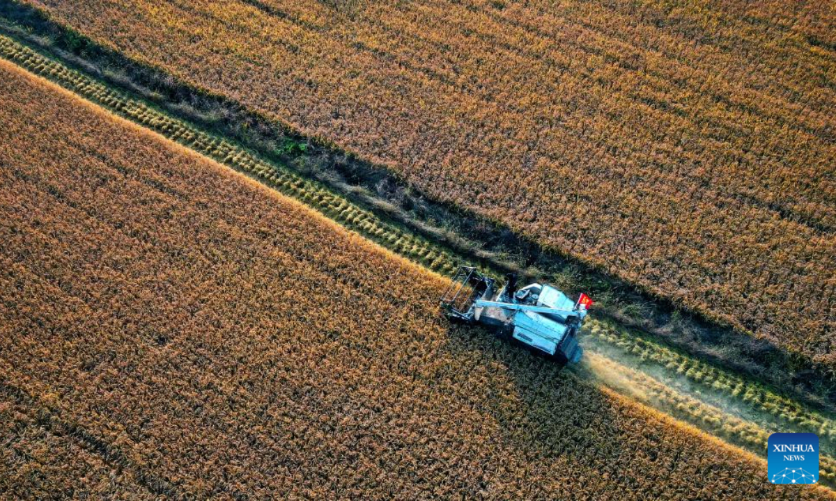 This aerial photo taken on Oct 21, 2022 shows a reaper harvesting paddy rice in Huangfu Village, Chang'an District of Xi'an City, northwest China's Shaanxi Province. In recent years, Chang'an District develops ecological paddy fields and combines paddy rice industry with tourism, which improves the quality of local paddy rice and local economy. Photo:Xinhua