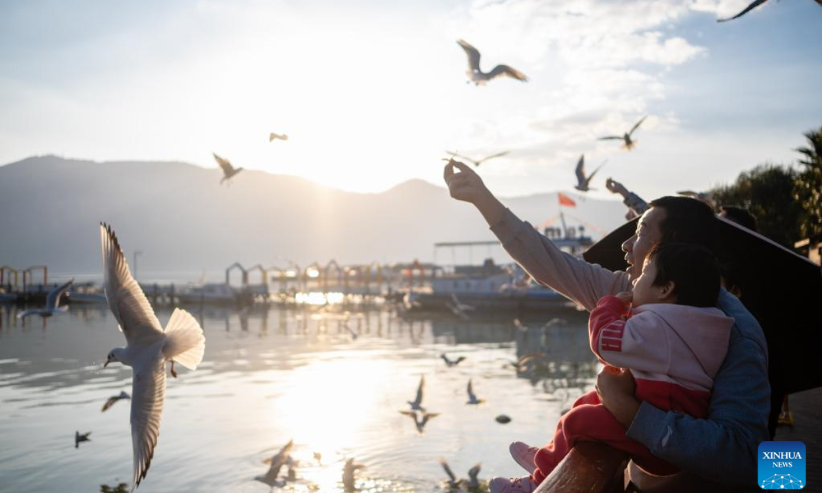 Citizens feed black-headed gulls by the bank of Dianchi Lake in Kunming, southwest China's Yunnan Province, Oct 20, 2022. Every year black-headed gulls fly to Kunming for warmer weather in winter. Photo:Xinhua