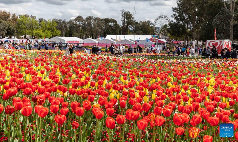 Photo taken on Oct. 16, 2022 shows people attending the Floriade flower festival at the Commonwealth Park in Canberra, Australia.Photo:Xinhua