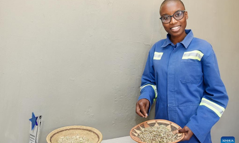 Tlotlo Phuduhudu, founder of Healthy Delights company, shows some of the livestock feeds produced using indigenous trees, plant by-products, and crop residue in Molepolole, Botswana, on Sept. 20, 2022. Livestock farmers in Botswana are often blamed for preventing the regeneration of trees and thereby contributing to the degradation of hill slopes, rangelands, and riparian areas due to overgrazing.(Photo: Xinhua)