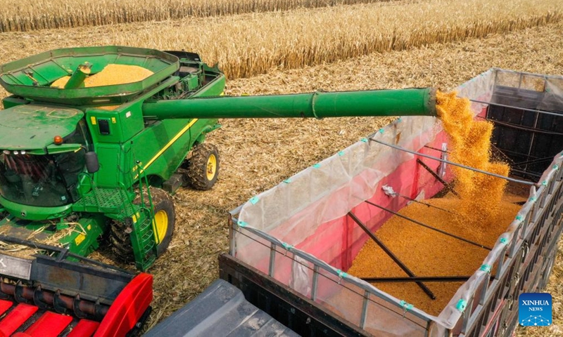 This aerial photo shows farmers harvesting corn in Horqin District of Tongliao City, north China's Inner Mongolia Autonomous Region, Oct. 14, 2022.Photo:Xinhua