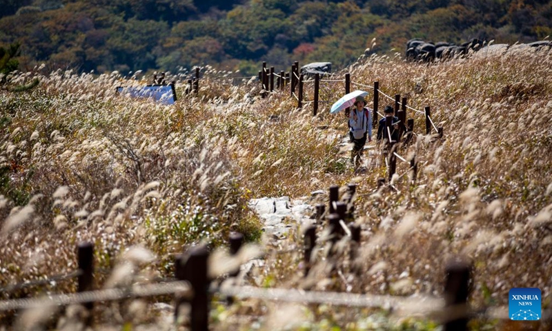Tourists visit Mount Mudeung in Gwangju, South Korea, Oct. 20, 2022.(Photo: Xinhua)
