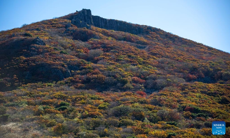 This photo taken on Oct. 20, 2022 shows the autumn scenery of Mount Mudeung in Gwangju, South Korea.(Photo: Xinhua)