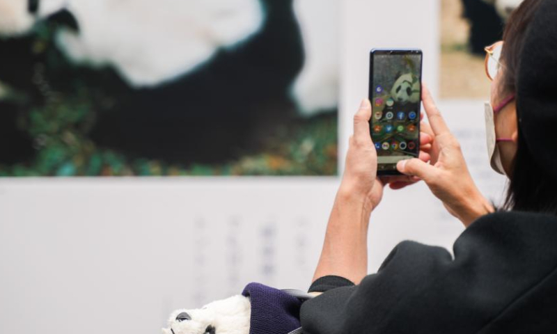 A woman prepares to take photos of a board, commemorating the 50th anniversary of the arrival of Chinese giant pandas, at the Ueno Zoo in Tokyo, Japan, Oct. 28, 2022. To mark the 50th anniversary of the arrival of Chinese giant pandas in Japan, Tokyo's Ueno Zoo has recently set up a Giant Panda Post Office.  Photo：Xinhua