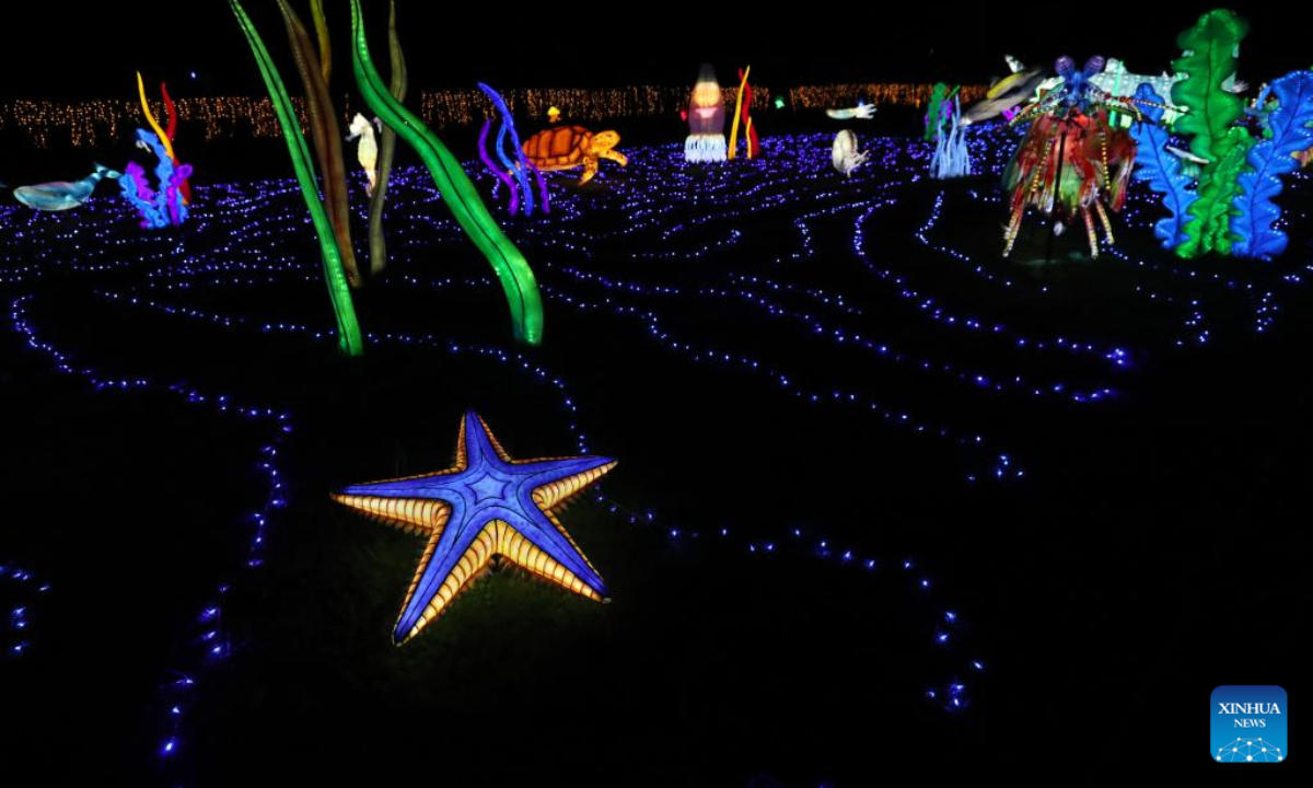 Illuminated sculptures are pictured during a media tour of a light festival at Thoiry zoo near Paris, France, Oct 26, 2022. The festival will kick off here on Sunday, displaying around 2,000 illuminated sculptures. Photo:Xinhua