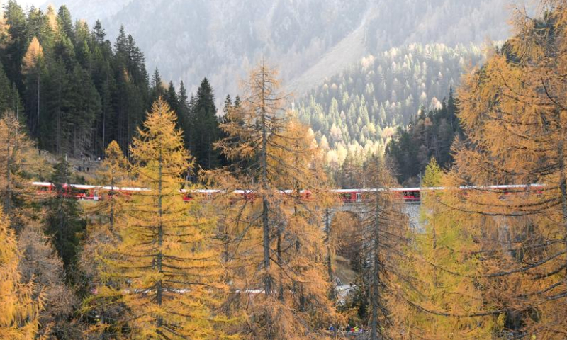 The world's longest narrow gauge passenger train runs on the Rhaetian Railway in Switzerland, Oct. 29, 2022. Photo: Xinhua