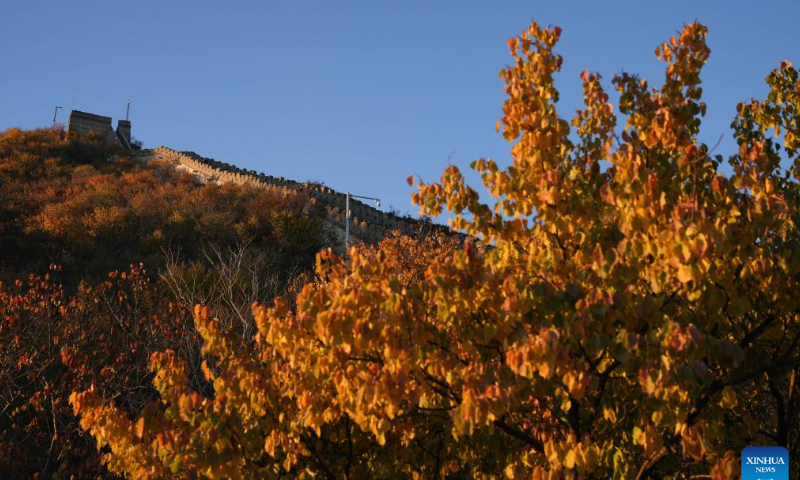 Tourists visit the Mutianyu section of the Great Wall in Beijing, capital of China, Oct. 22, 2022. Photo: Xinhua