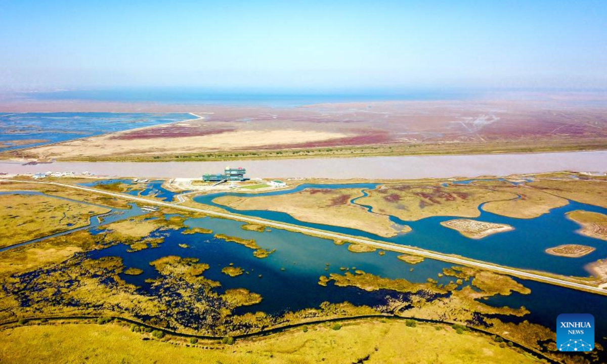 This aerial photo taken on Oct 18, 2022 shows scenery at the Yellow River Delta National Nature Reserve in east China's Shandong Province. The Yellow River Delta National Nature Reserve, a wetland nature reserve mainly aiming at protecting the ecosystem and rare and endangered birds at the river's estuary, was listed in 2013 on the Ramsar Convention on Wetlands of International Importance. Photo:Xinhua