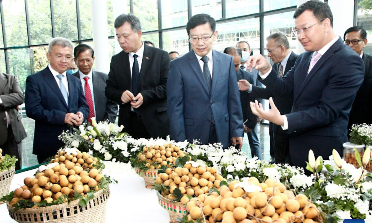 Cambodian Minister of Agriculture, Forestry and Fisheries Dith Tina (1st R) and Chinese Ambassador to Cambodia Wang Wentian (2nd R) attend the launching ceremony of Cambodian longan export to China, in Phnom Penh, Cambodia, on Oct 27, 2022. Photo:Xinhua