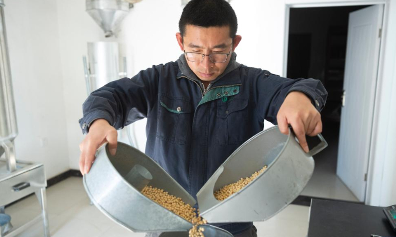 A worker mixes samples of soybeans at a company of China Grain Reserves Group (Sinograin) in Harbin, northeast China's Heilongjiang Province, Oct. 28, 2022. Autumn grain purchasing work is underway in Heilongjiang. Photo: Xinhua