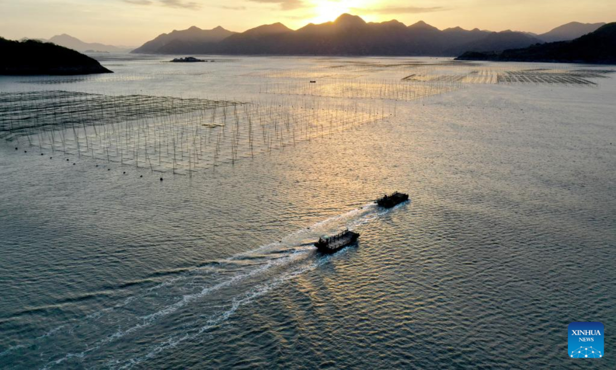This aerial photo taken on Oct 26, 2022 shows boats traveling in the aquaculture area of Sansha Township in the morning in Xiapu County, southeast China's Fujian Province. The sea area of Xiapu County has entered the peak season of autumn harvest. Boats travel through vast aquaculture area, harvesting aquatic products such as laver and oysters, from sunrise to sunset. Photo:Xinhua 