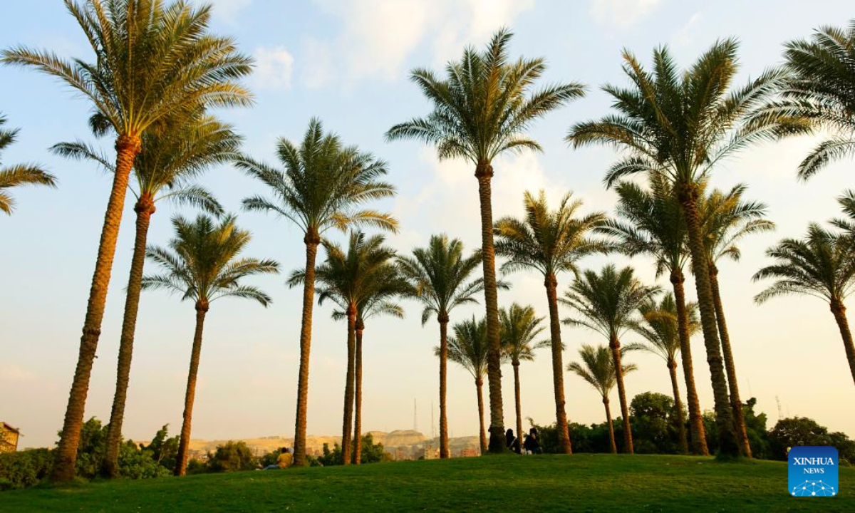 People spend time at Al-Azhar Park in Cairo, Egypt, on Oct 24, 2022. Photo:Xinhua