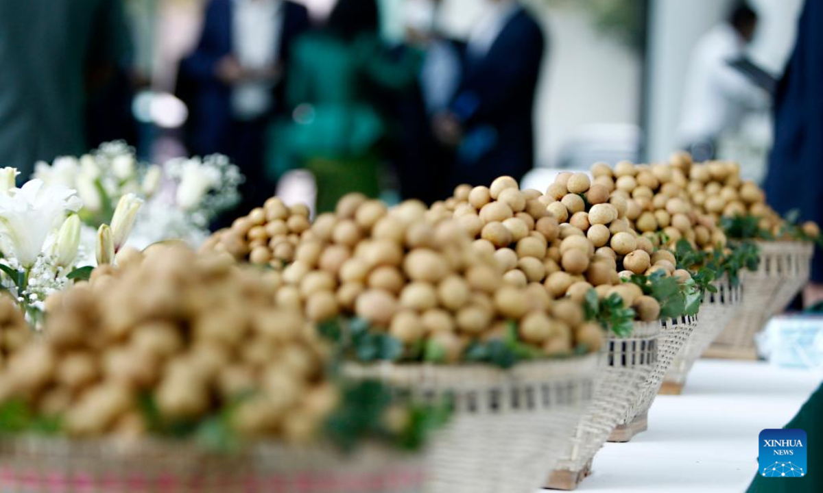 Longan fruits are on display at the launching ceremony of Cambodian longan export to China, in Phnom Penh, Cambodia, on Oct 27, 2022. Cambodia on Thursday launched longan export to China, marking another fruitful cooperation in the agricultural sector between the two countries. Photo:Xinhua