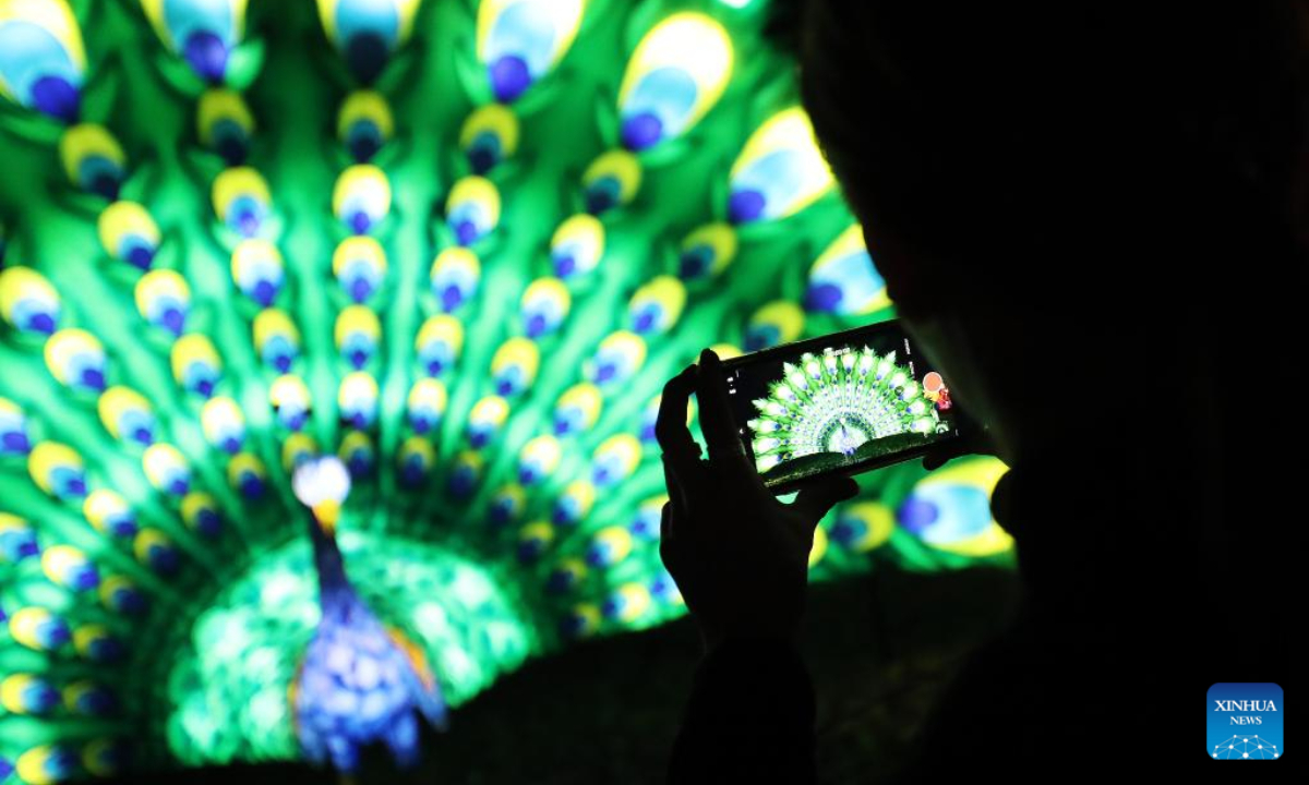 Visitors view illuminated sculptures during a media tour of a light festival at Thoiry zoo near Paris, France, Oct. 26, 2022. The festival will kick off here on Sunday, displaying around 2,000 illuminated sculptures. Photo:Xinhua