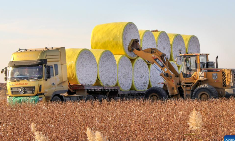 Workers load cotton bales onto a truck in northwest China's Xinjiang Uygur Autonomous Region, Oct. 14, 2022. The cotton harvest season started in October in Xinjiang, the largest cotton-growing area in China.  Photo: Xinhua