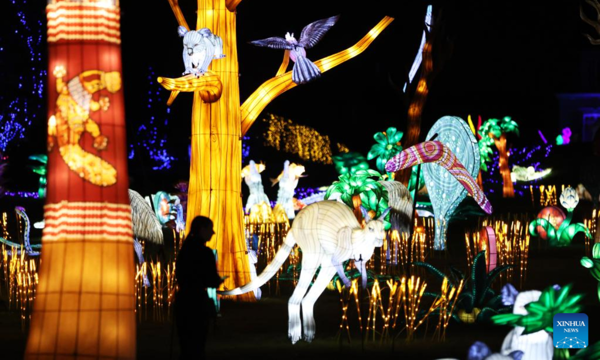 Illuminated sculptures are pictured during a media tour of a light festival at Thoiry zoo near Paris, France, Oct 26, 2022. The festival will kick off here on Sunday, displaying around 2,000 illuminated sculptures. Photo:Xinhua