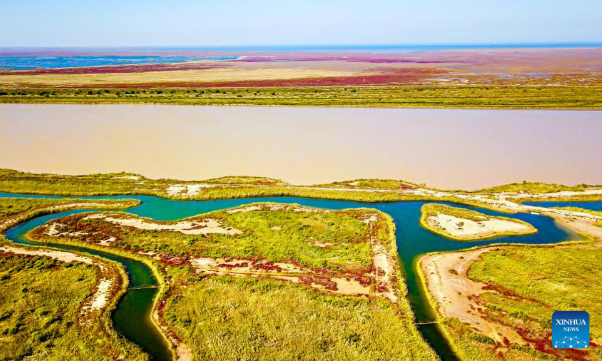 This aerial photo taken on Oct 18, 2022 shows scenery at the Yellow River Delta National Nature Reserve in east China's Shandong Province. The Yellow River Delta National Nature Reserve, a wetland nature reserve mainly aiming at protecting the ecosystem and rare and endangered birds at the river's estuary, was listed in 2013 on the Ramsar Convention on Wetlands of International Importance. Photo:Xinhua