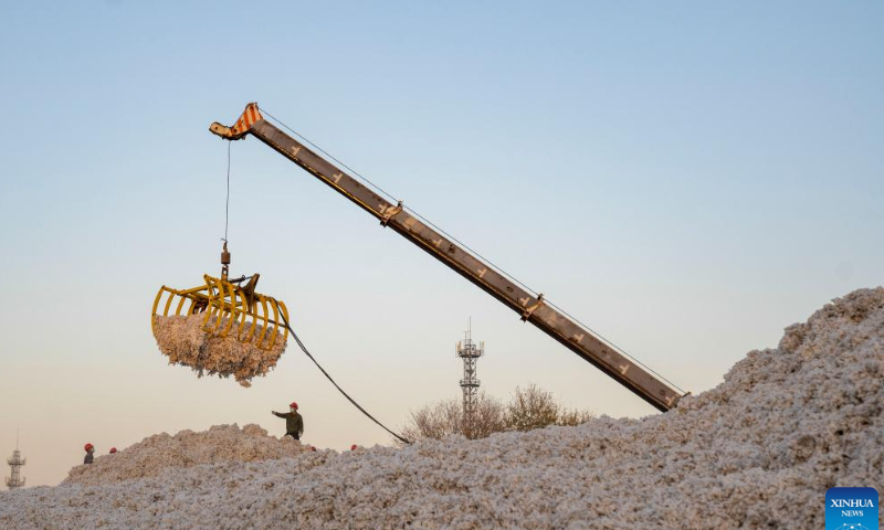 Workers sort newly-harvested cotton at a cotton ginning factory in Shawan, northwest China's Xinjiang Uygur Autonomous Region, Oct. 22, 2022. The cotton harvest season started in October in Xinjiang, the largest cotton-growing area in China. Photo: Xinhua