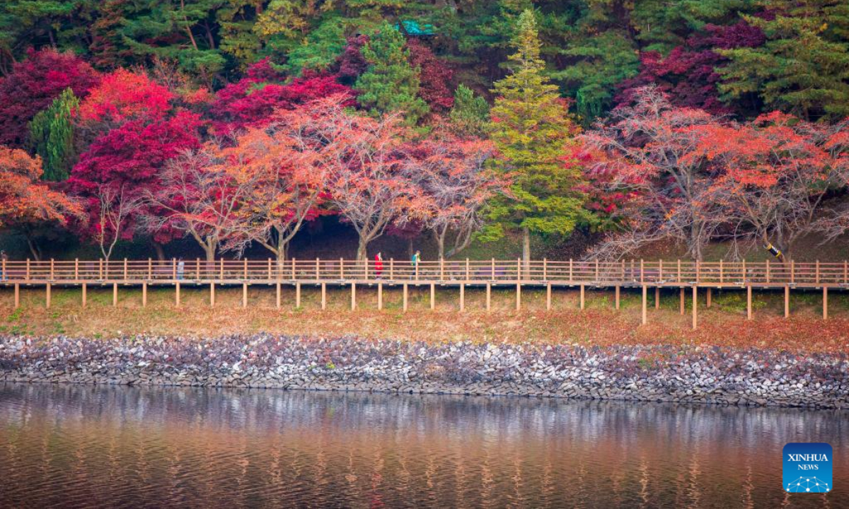 Tourists enjoy the autumn view in Andong, North Gyeongsang province, South Korea, Oct 28, 2022. Photo:Xinhua