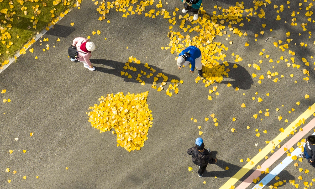 Visitors enjoy autumn scenery at the Guhuai River Wetland Park in Huai'an, East China's Jiangsu Province on November 6, 2022. Photo: IC