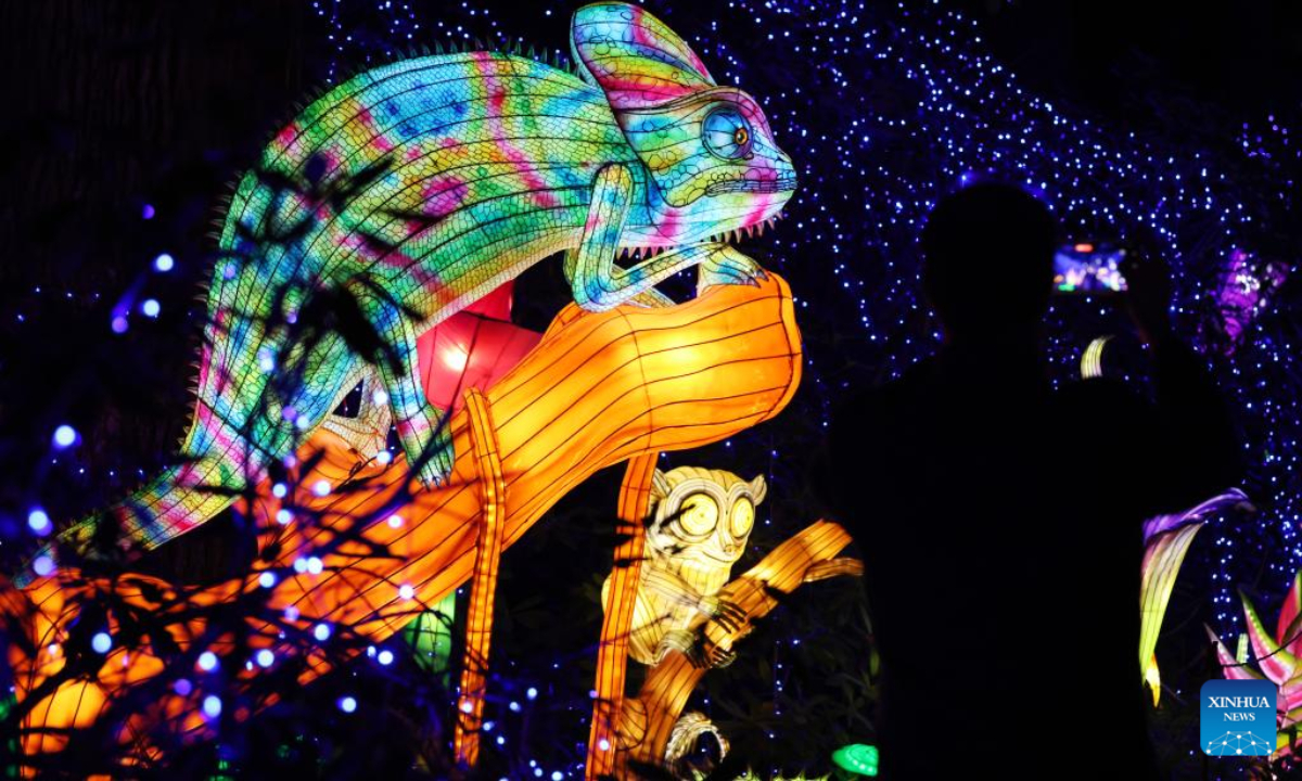 Illuminated sculptures are pictured during a media tour of a light festival at Thoiry zoo near Paris, France, Oct 26, 2022. The festival will kick off here on Sunday, displaying around 2,000 illuminated sculptures. Photo:Xinhua