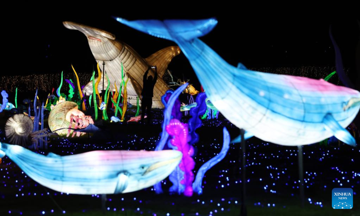 A visitor takes a photo of illuminated sculptures during a media tour of a light festival at Thoiry zoo near Paris, France, Oct 26, 2022. The festival will kick off here on Sunday, displaying around 2,000 illuminated sculptures. Photo:Xinhua