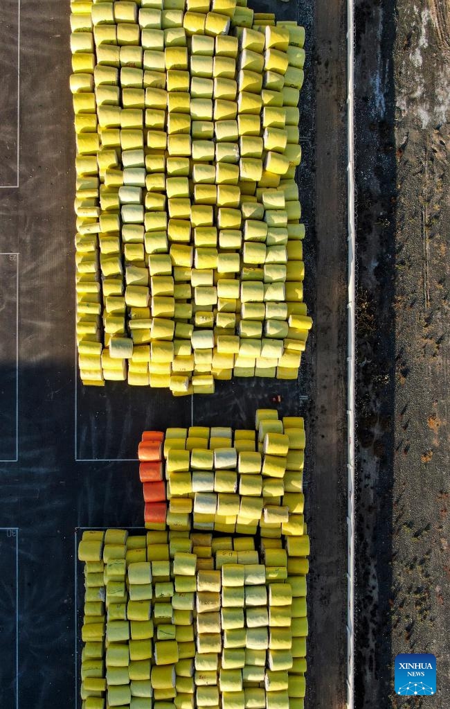 This aerial photo taken on Oct. 22, 2022 shows newly-harvested cotton at a cotton ginning factory in Shawan, northwest China's Xinjiang Uygur Autonomous Region. The cotton harvest season started in October in Xinjiang, the largest cotton-growing area in China.Photo: Xinhua