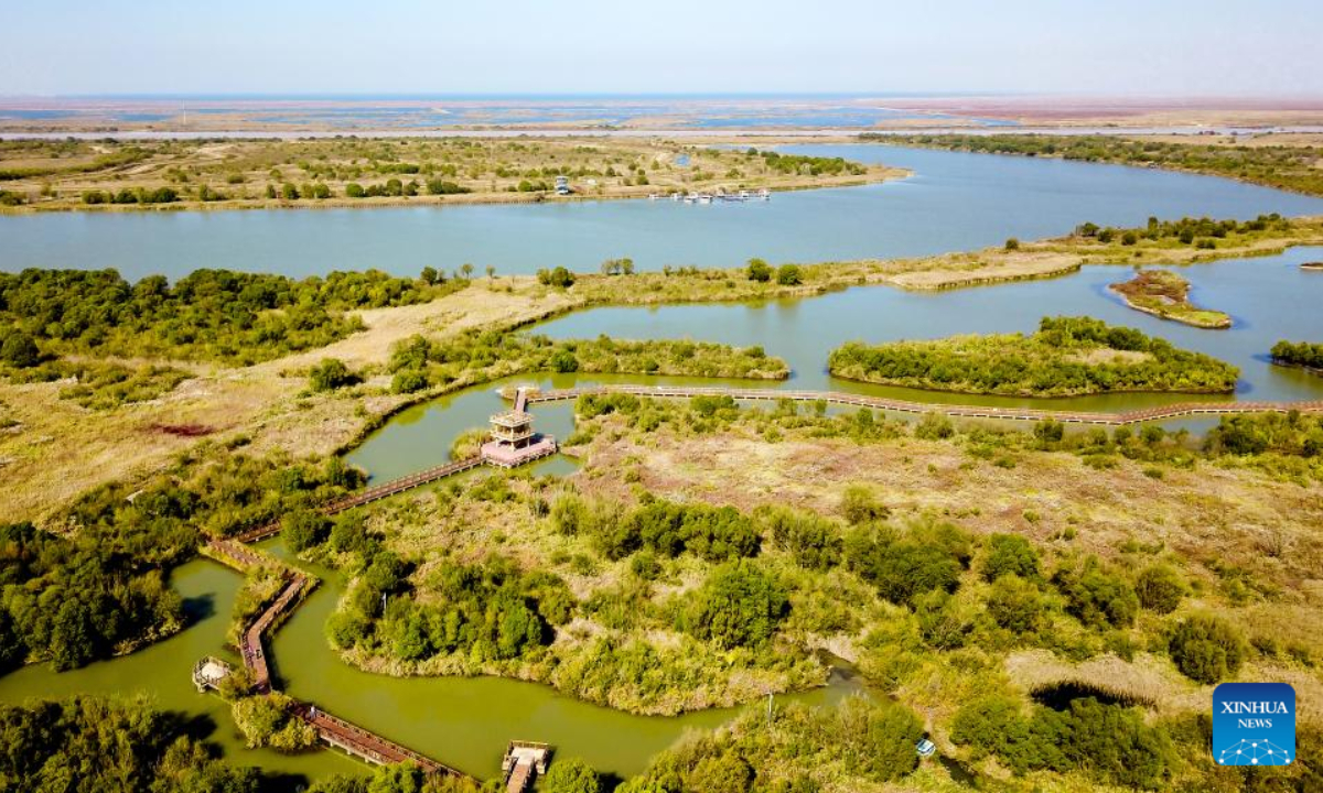 This aerial photo taken on Oct 18, 2022 shows scenery at the Yellow River Delta National Nature Reserve in east China's Shandong Province. The Yellow River Delta National Nature Reserve, a wetland nature reserve mainly aiming at protecting the ecosystem and rare and endangered birds at the river's estuary, was listed in 2013 on the Ramsar Convention on Wetlands of International Importance. Photo:Xinhua