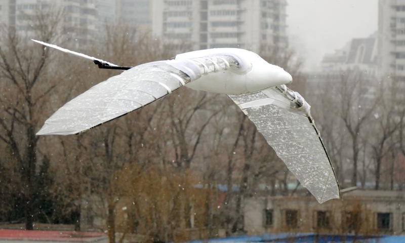 This photo taken on Jan. 21, 2022 shows the flight of an ornithopter developed by Beihang University. Photo: Xinhua