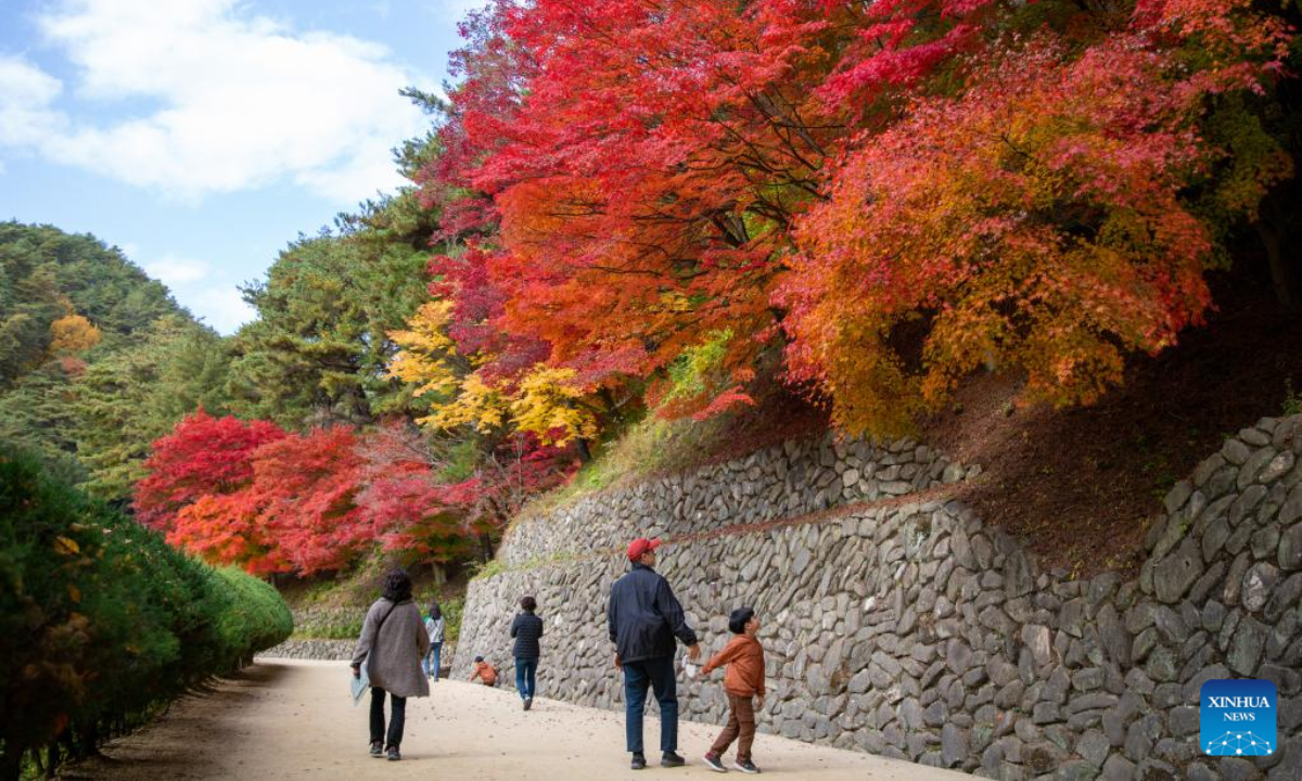 Tourists enjoy the autumn view in Andong, North Gyeongsang province, South Korea, Oct 28, 2022. Photo:Xinhua