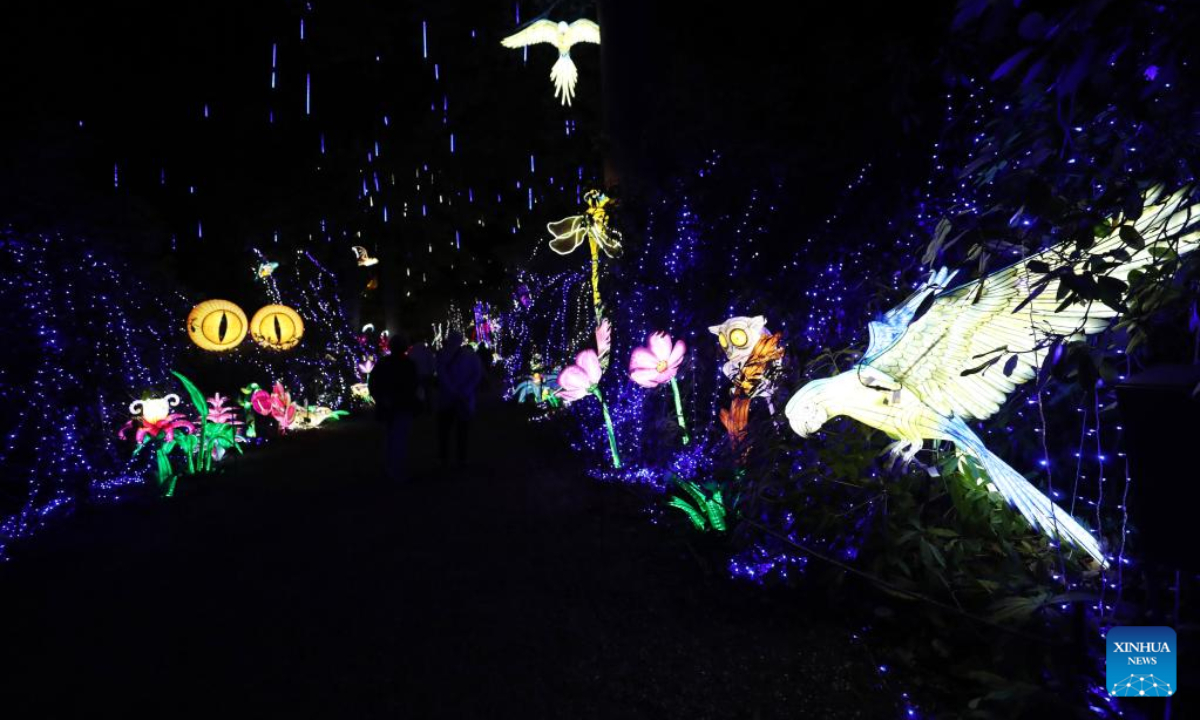 Illuminated sculptures are pictured during a media tour of a light festival at Thoiry zoo near Paris, France, Oct 26, 2022. The festival will kick off here on Sunday, displaying around 2,000 illuminated sculptures. Photo:Xinhua