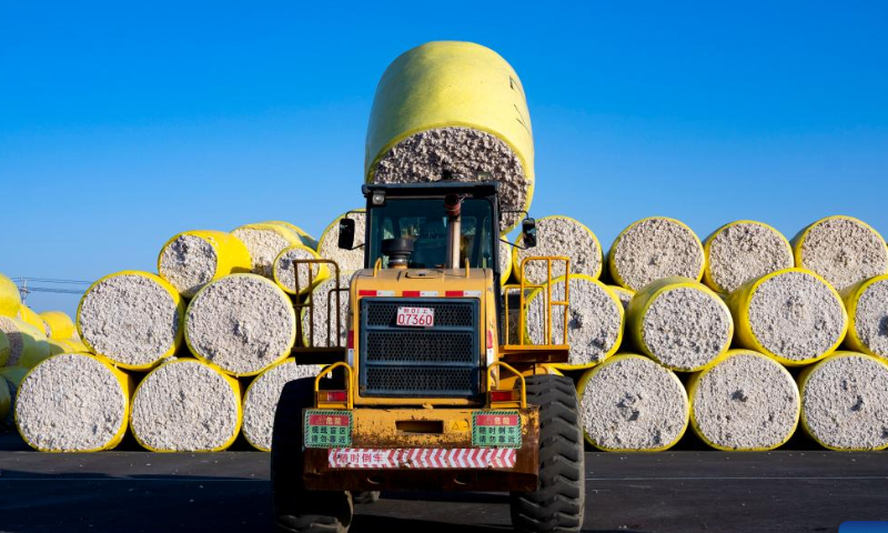 Newly-harvested cotton is transferred at a cotton ginning factory in Shawan, northwest China's Xinjiang Uygur Autonomous Region, Oct. 22, 2022. The cotton harvest season started in October in Xinjiang, the largest cotton-growing area in China. Photo: Xinhua