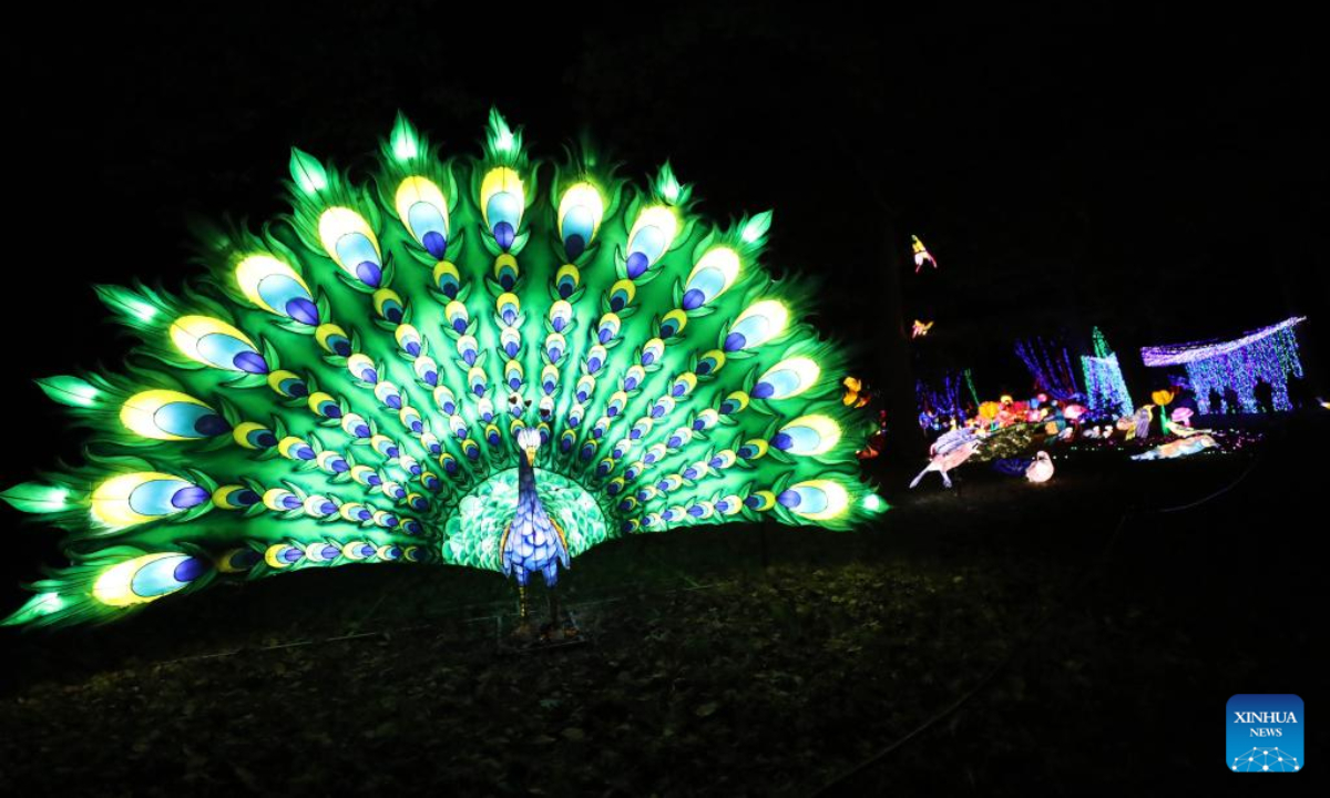 Illuminated sculptures are pictured during a media tour of a light festival at Thoiry zoo near Paris, France, Oct. 26, 2022. The festival will kick off here on Sunday, displaying around 2,000 illuminated sculptures. Photo:Xinhua
