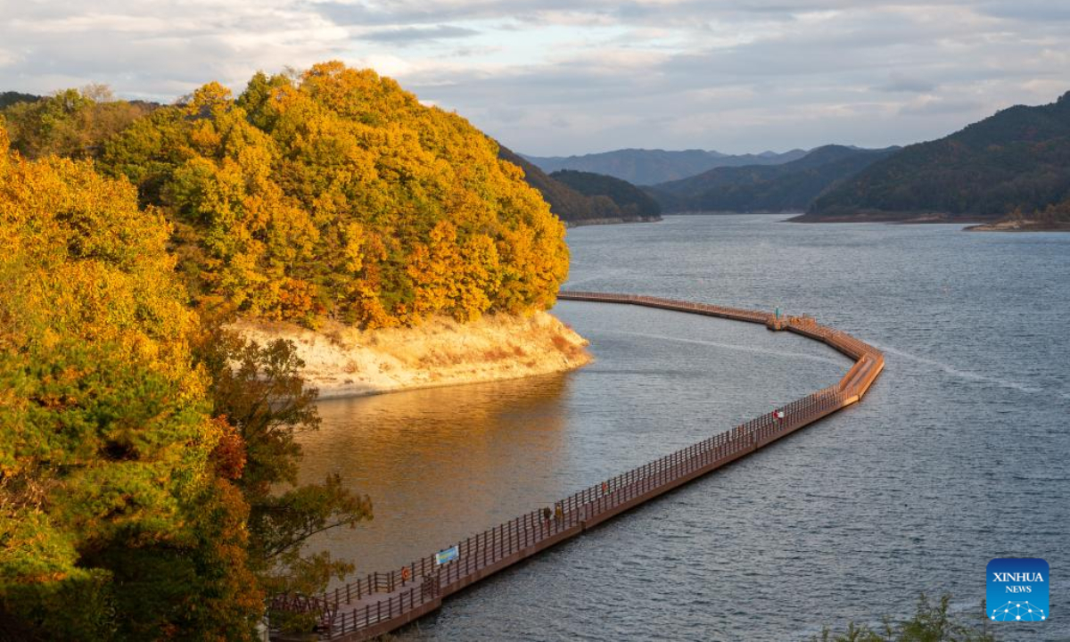 Tourists enjoy the autumn view in Andong, North Gyeongsang province, South Korea, Oct 28, 2022. Photo:Xinhua