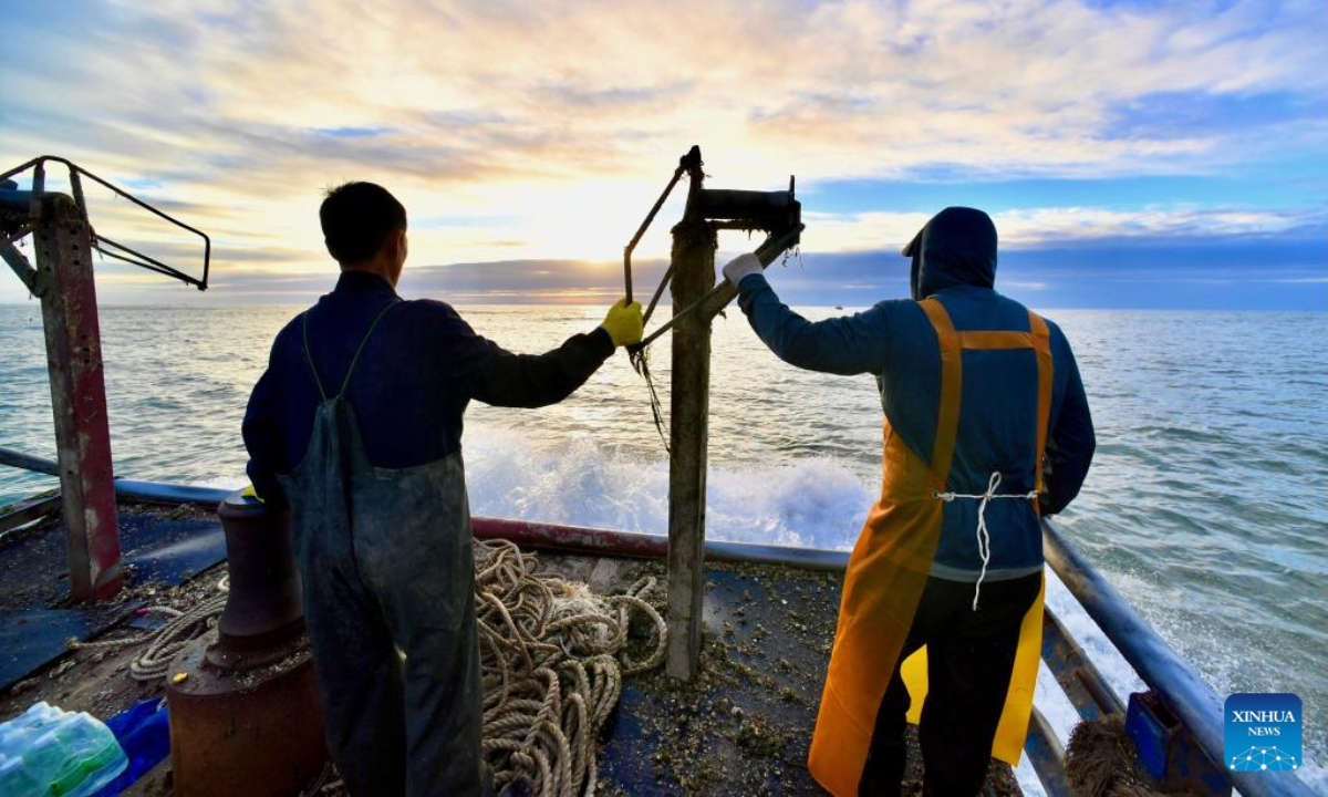 This aerial photo taken on Oct 26, 2022 shows boats traveling in the aquaculture area of Sansha Township in the morning in Xiapu County, southeast China's Fujian Province. The sea area of Xiapu County has entered the peak season of autumn harvest. Boats travel through vast aquaculture area, harvesting aquatic products such as laver and oysters, from sunrise to sunset. Photo:Xinhua 