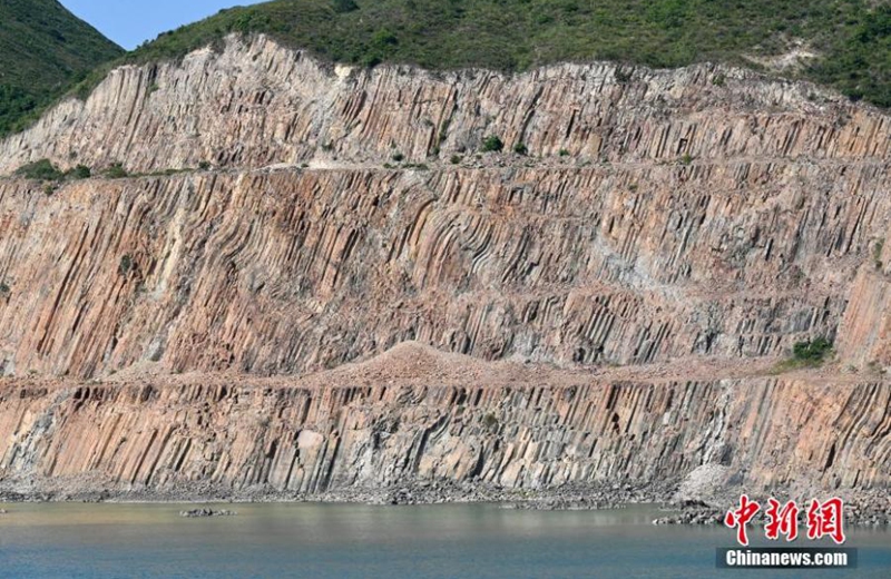 Photo shows the Early Cretaceous rhyolitic columnar rock formation visible on High Island in the Hong Kong Special Administrative Region. (Photo: China News Service/Li Zhihua)