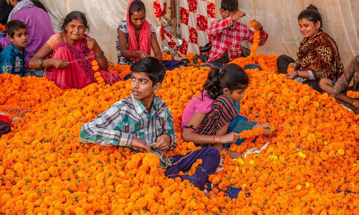 Local family members prepare marigold garlands on the day of the Diwali festival at the Ghazipur Wholesale Flower Market in New Delhi, India on October 24, 2022. People buy flowers for Diwali decoration, and flowers are also commonly used as offerings to the gods Lakshmi and Ganesh. Photo: VCG