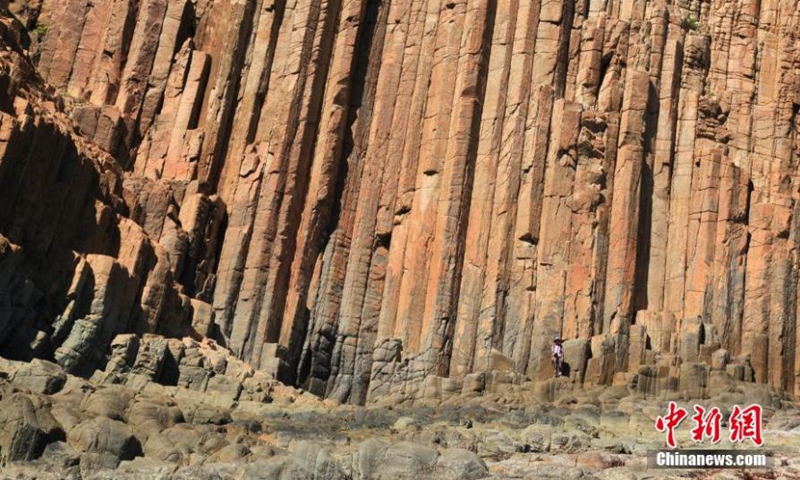 Photo shows the Early Cretaceous rhyolitic columnar rock formation visible on High Island in the Hong Kong Special Administrative Region. (Photo provided to China News Service)